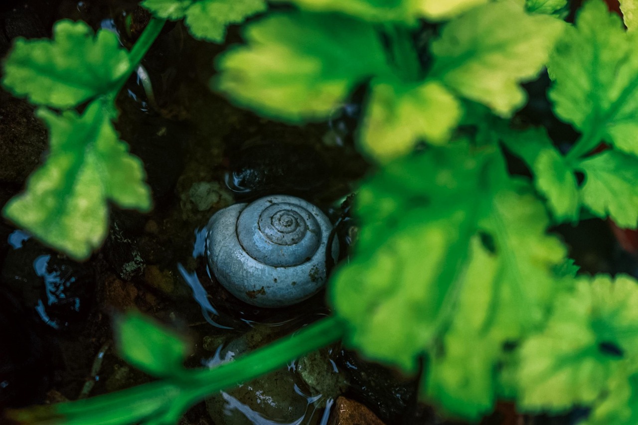 entdecken sie die neuesten innovationen im bereich der exoskelette. erfahren sie, wie exoskelette menschen in industrie, medizin und alltag unterstützen und stärken.